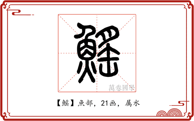 鰩