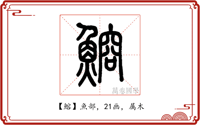 鰫