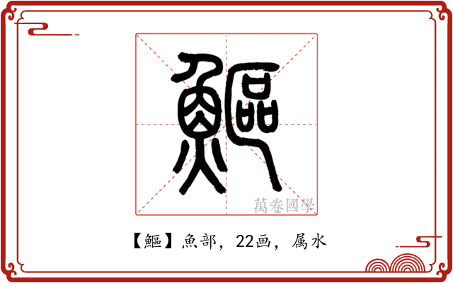 鰸
