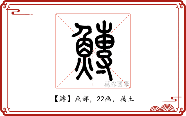 鱄