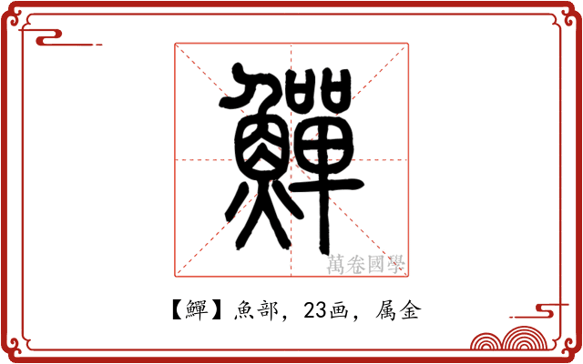 鱓