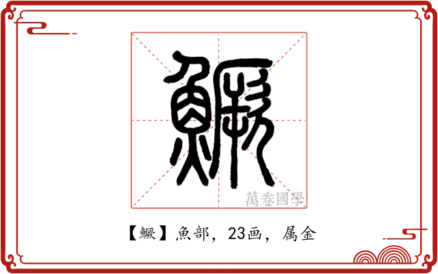 鱖