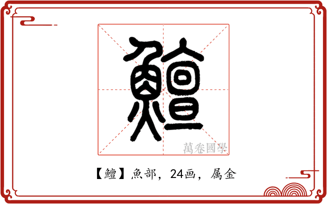 鱣