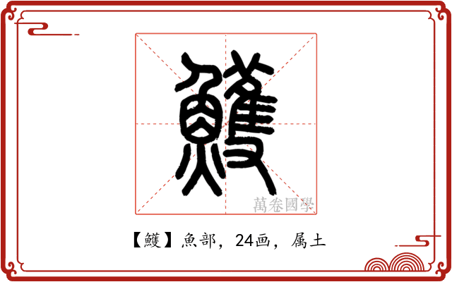 鱯