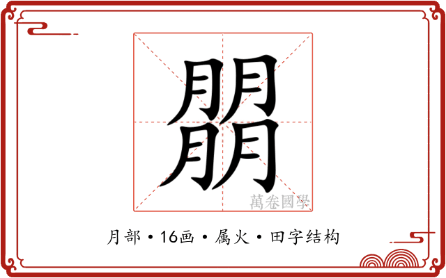 朤