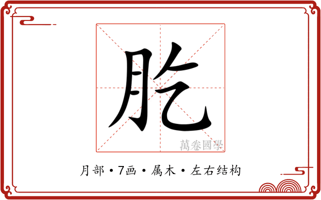 肐