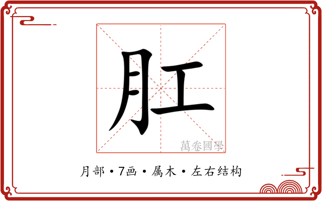 肛