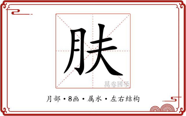 肤