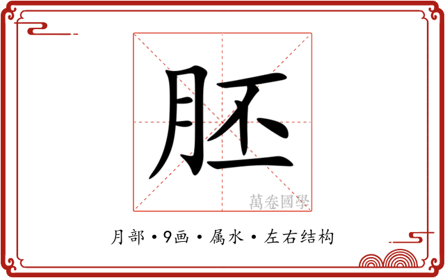 胚