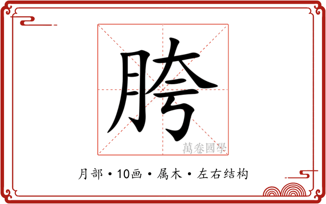 胯