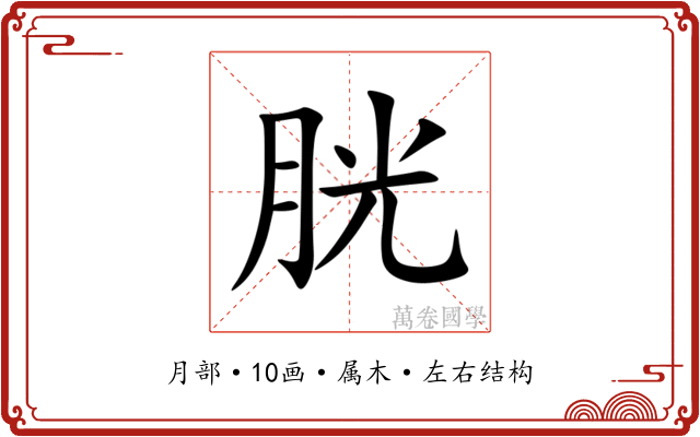 胱