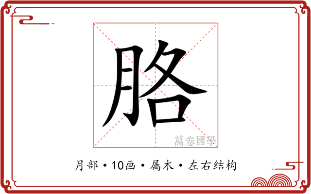 胳