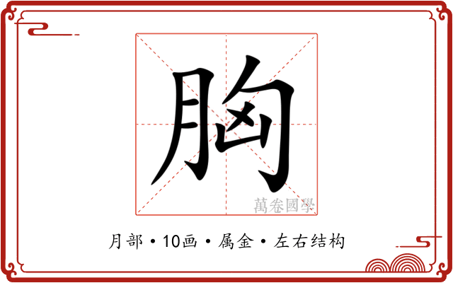 胸