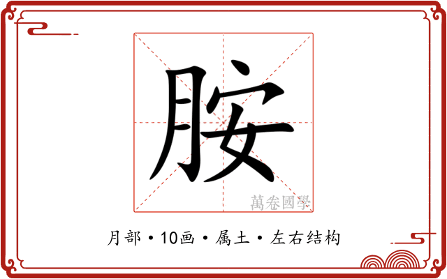 胺