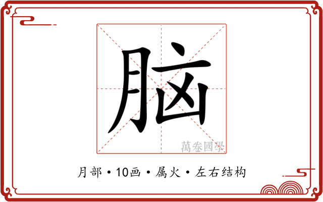 脑