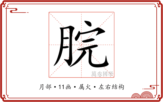 脘