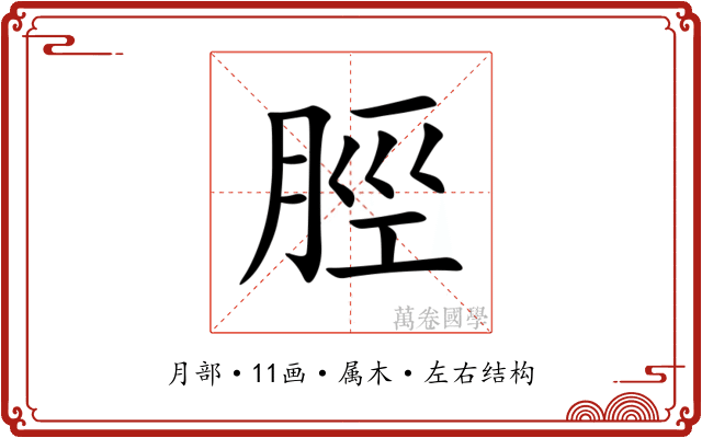 脛