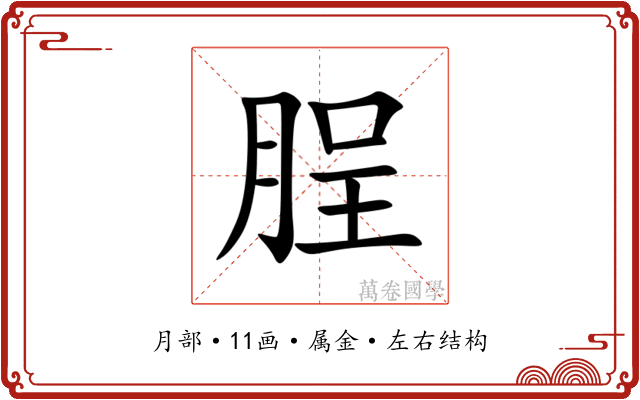 脭