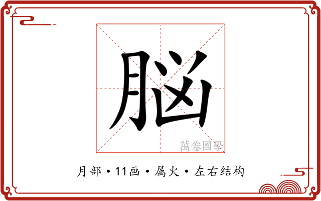 脳