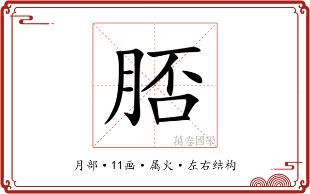 脴