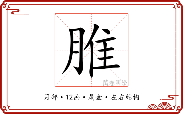 脽