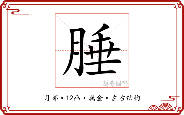 腄
