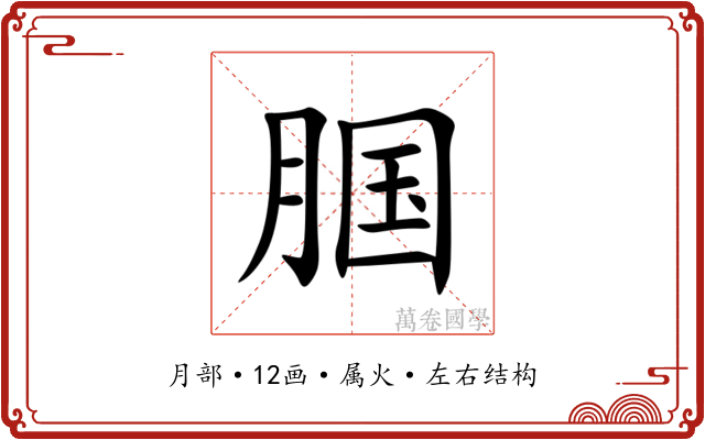 腘