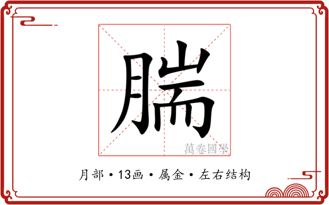 腨