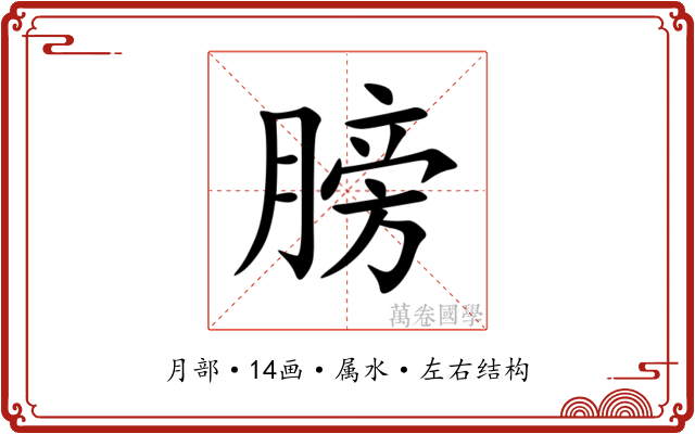 膀