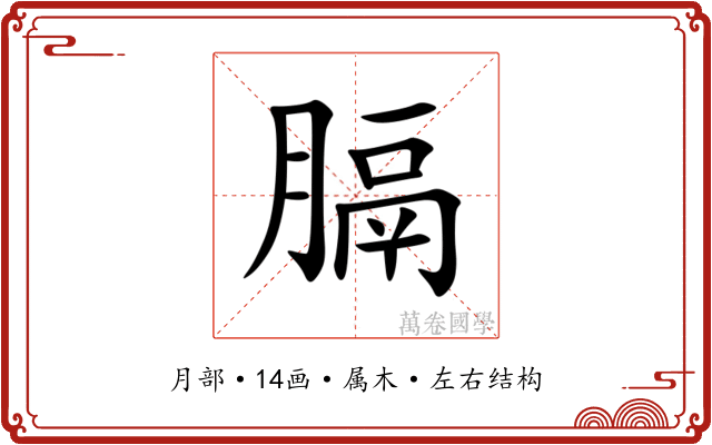 膈