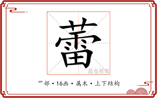 蕾