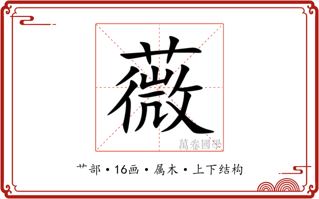 薇