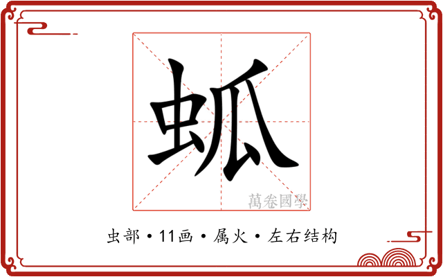 蛌