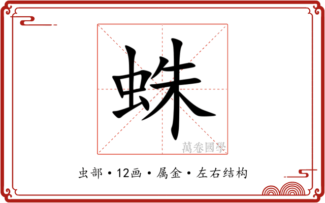 蛛