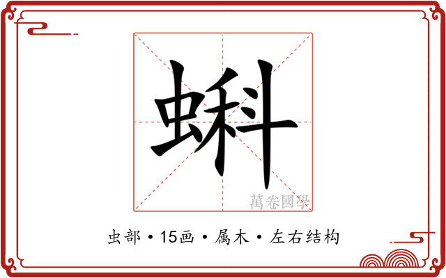 蝌