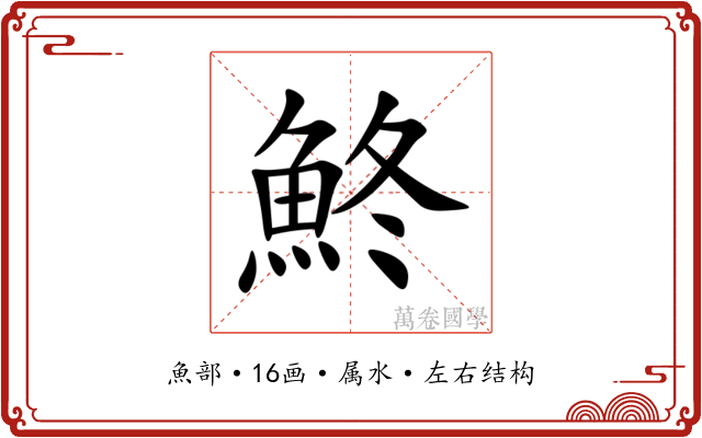 鮗