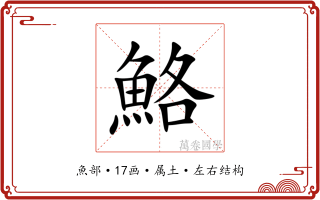 鮥