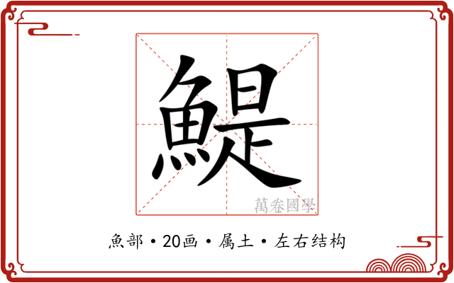 鯷