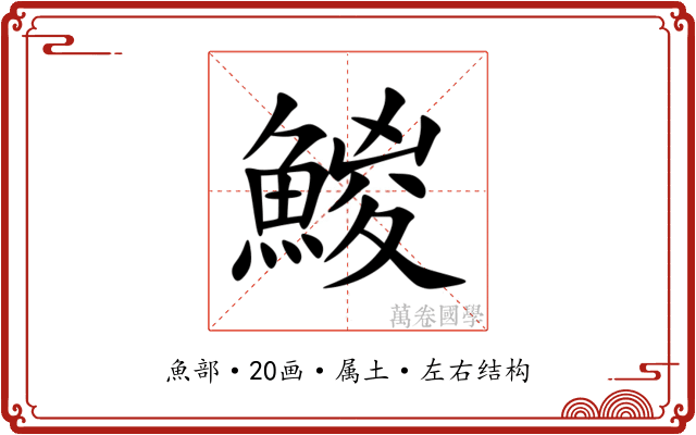 鯼