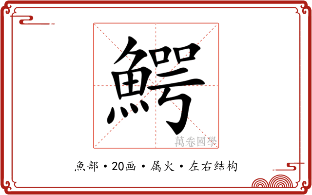 鰐