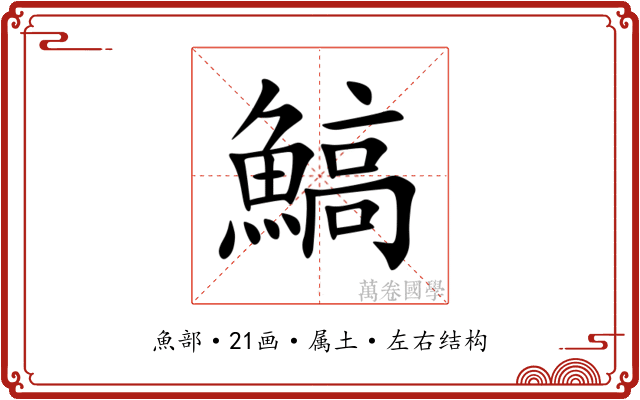 鰝