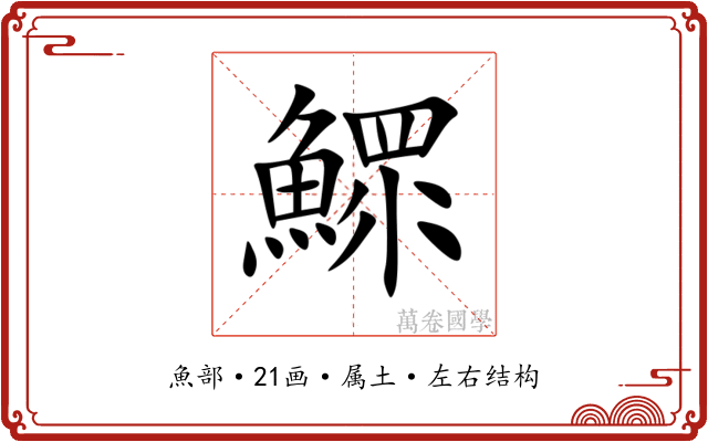 鰥