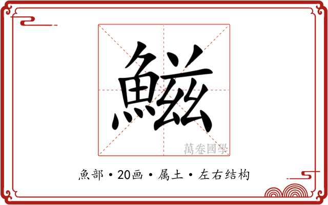 鰦