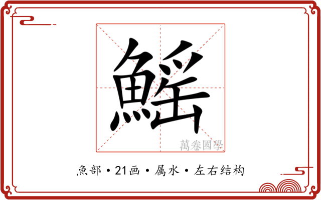 鰩