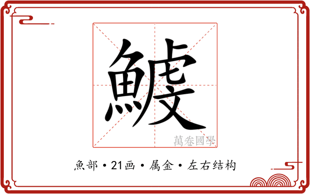 鰬