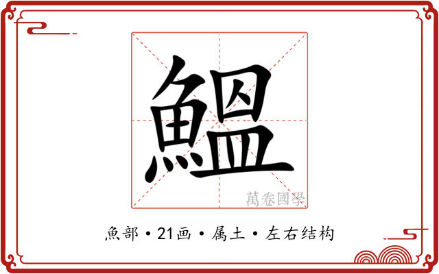 鰮