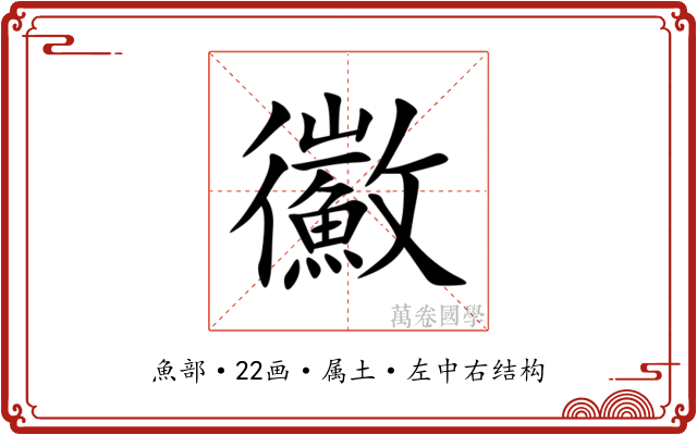 鰴