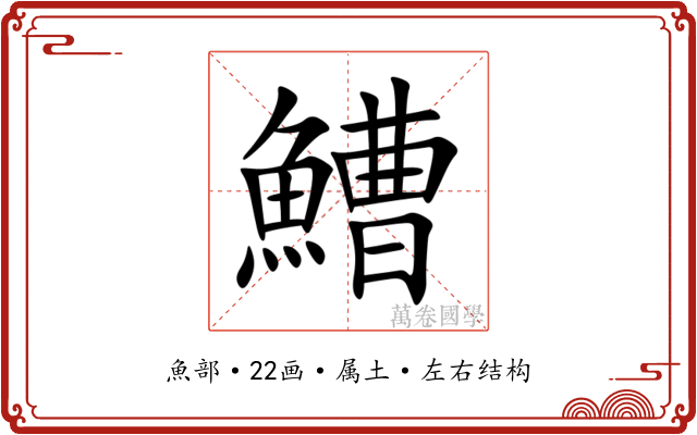 鰽