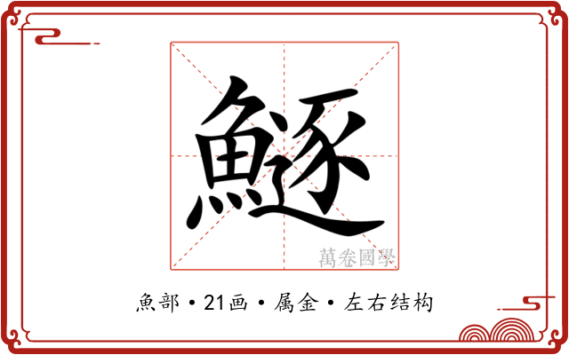 鱁