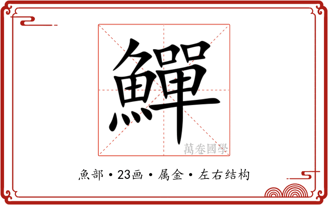 鱓